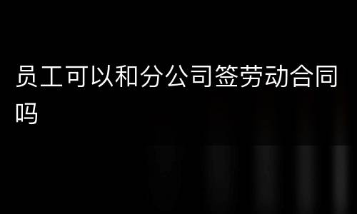 员工可以和分公司签劳动合同吗