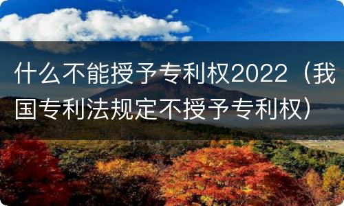 什么不能授予专利权2022（我国专利法规定不授予专利权）