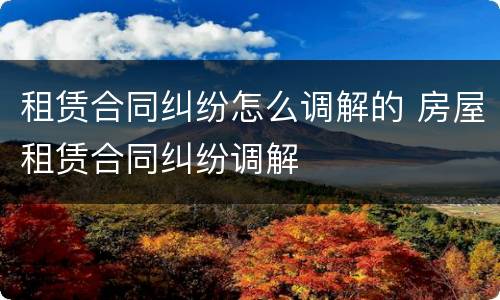 租赁合同纠纷怎么调解的 房屋租赁合同纠纷调解