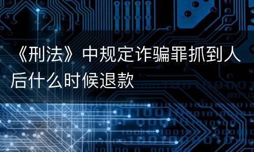 《刑法》中规定诈骗罪抓到人后什么时候退款