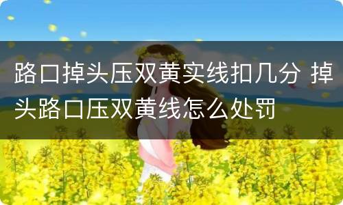 路口掉头压双黄实线扣几分 掉头路口压双黄线怎么处罚