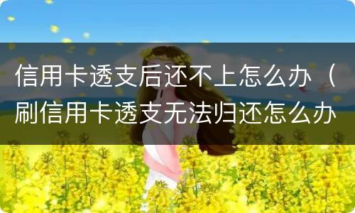 信用卡透支后还不上怎么办（刷信用卡透支无法归还怎么办）