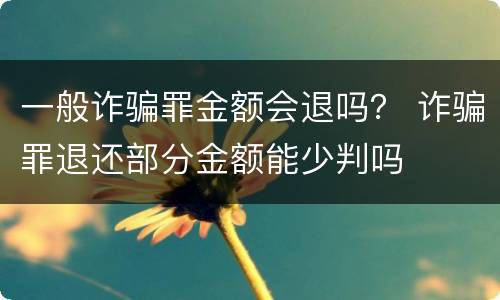 一般诈骗罪金额会退吗？ 诈骗罪退还部分金额能少判吗