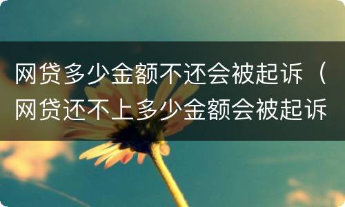 网贷多少金额不还会被起诉（网贷还不上多少金额会被起诉）