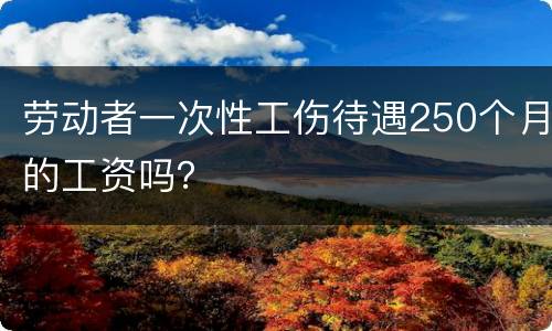 劳动者一次性工伤待遇250个月的工资吗？
