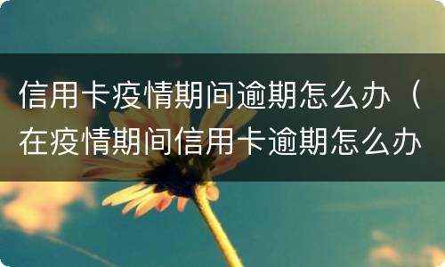 信用卡疫情期间逾期怎么办（在疫情期间信用卡逾期怎么办）