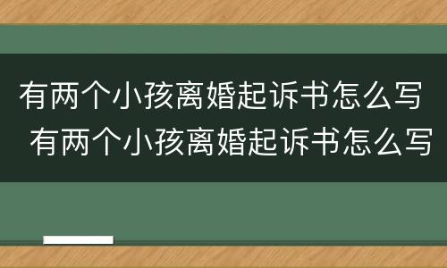 有两个小孩离婚起诉书怎么写 有两个小孩离婚起诉书怎么写呀