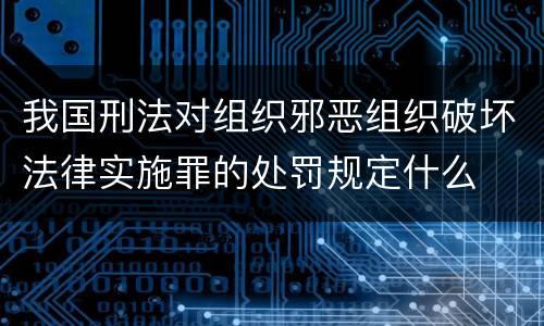 我国刑法对组织邪恶组织破坏法律实施罪的处罚规定什么
