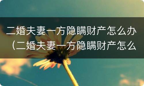 二婚夫妻一方隐瞒财产怎么办（二婚夫妻一方隐瞒财产怎么办呢）