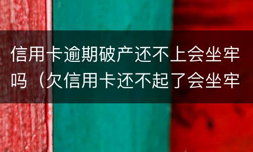 信用卡逾期破产还不上会坐牢吗（欠信用卡还不起了会坐牢吗）