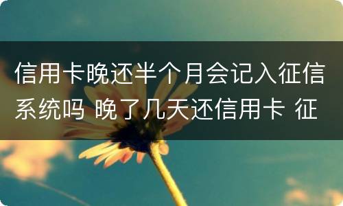 信用卡晚还半个月会记入征信系统吗 晚了几天还信用卡 征信