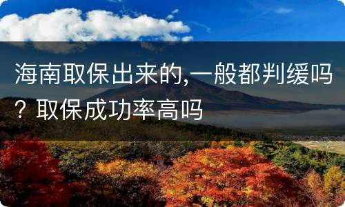海南取保出来的,一般都判缓吗? 取保成功率高吗