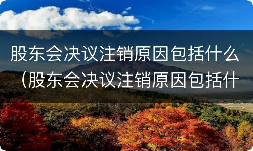 股东会决议注销原因包括什么（股东会决议注销原因包括什么法律规定）