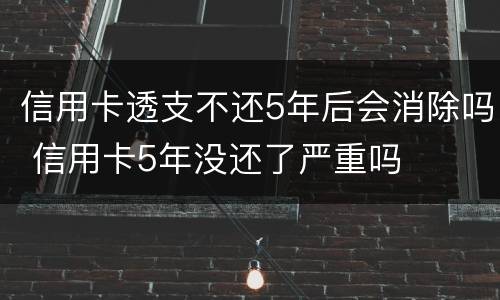 信用卡透支不还5年后会消除吗 信用卡5年没还了严重吗