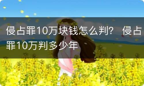 侵占罪10万块钱怎么判？ 侵占罪10万判多少年