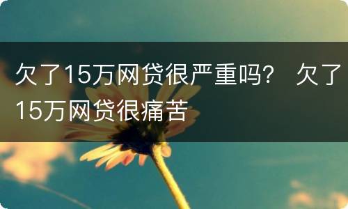 欠了15万网贷很严重吗？ 欠了15万网贷很痛苦