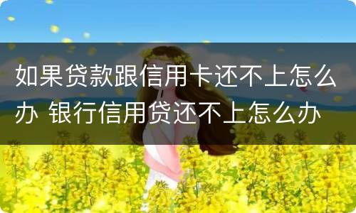 如果贷款跟信用卡还不上怎么办 银行信用贷还不上怎么办 经验