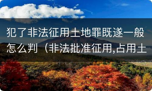 犯了非法征用土地罪既遂一般怎么判（非法批准征用,占用土地罪）