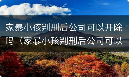 家暴小孩判刑后公司可以开除吗（家暴小孩判刑后公司可以开除吗知乎）