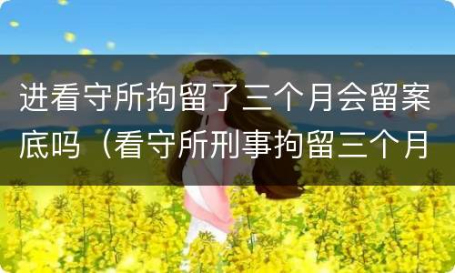 进看守所拘留了三个月会留案底吗（看守所刑事拘留三个月）