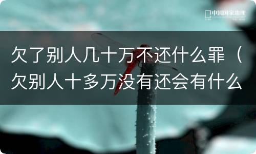 欠了别人几十万不还什么罪（欠别人十多万没有还会有什么后果）