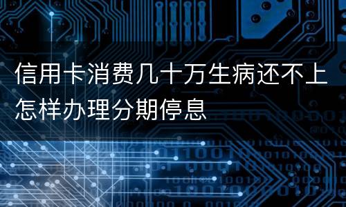 信用卡消费几十万生病还不上怎样办理分期停息