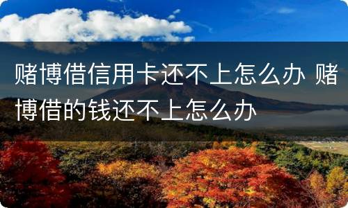 赌博借信用卡还不上怎么办 赌博借的钱还不上怎么办