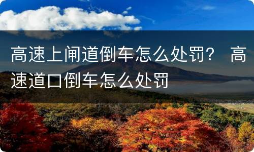 高速上闸道倒车怎么处罚？ 高速道口倒车怎么处罚