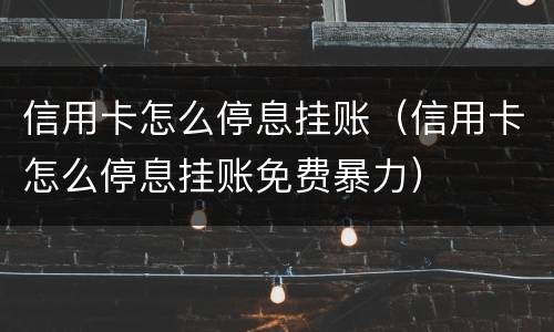 信用卡怎么停息挂账（信用卡怎么停息挂账免费暴力）