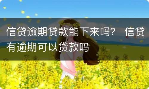 信贷逾期贷款能下来吗？ 信贷有逾期可以贷款吗
