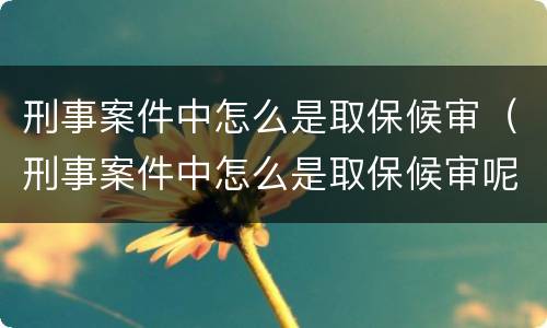 刑事案件中怎么是取保候审（刑事案件中怎么是取保候审呢）