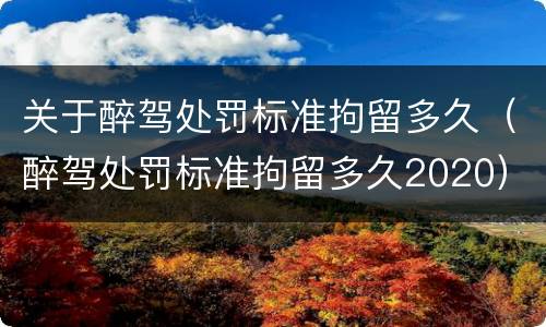 关于醉驾处罚标准拘留多久（醉驾处罚标准拘留多久2020）