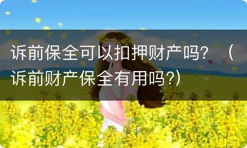 诉前保全可以扣押财产吗？（诉前财产保全有用吗?）