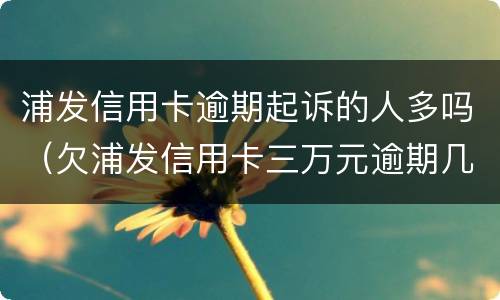 浦发信用卡逾期起诉的人多吗（欠浦发信用卡三万元逾期几个月会被起诉呢）