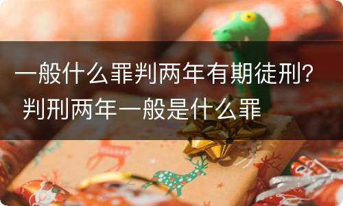 一般什么罪判两年有期徒刑？ 判刑两年一般是什么罪