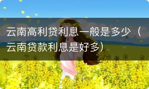云南高利贷利息一般是多少（云南贷款利息是好多）