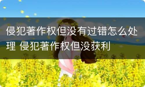 侵犯著作权但没有过错怎么处理 侵犯著作权但没获利