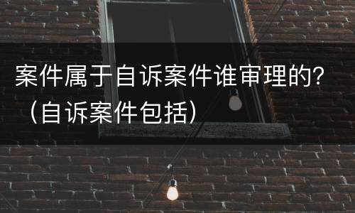 案件属于自诉案件谁审理的？（自诉案件包括）