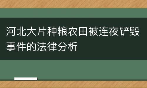 河北大片种粮农田被连夜铲毁事件的法律分析