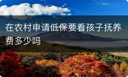 在农村申请低保要看孩子抚养费多少吗