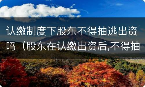 认缴制度下股东不得抽逃出资吗（股东在认缴出资后,不得抽回出资）