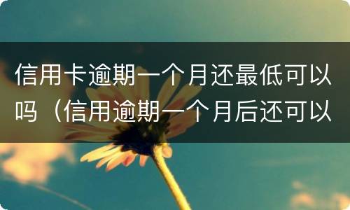 信用卡逾期一个月还最低可以吗（信用逾期一个月后还可以最低还款吗）