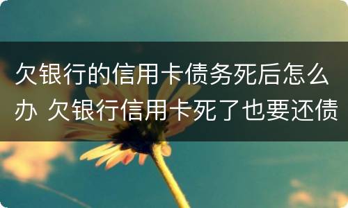 欠银行的信用卡债务死后怎么办 欠银行信用卡死了也要还债吗