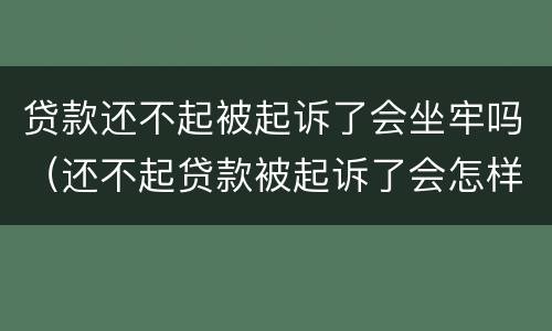 贷款还不起被起诉了会坐牢吗（还不起贷款被起诉了会怎样）