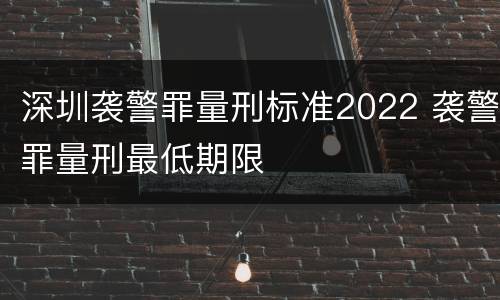 深圳袭警罪量刑标准2022 袭警罪量刑最低期限