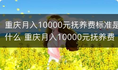 重庆月入10000元抚养费标准是什么 重庆月入10000元抚养费标准是什么呢