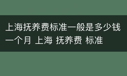 上海抚养费标准一般是多少钱一个月 上海 抚养费 标准