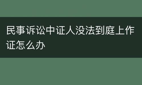 民事诉讼中证人没法到庭上作证怎么办