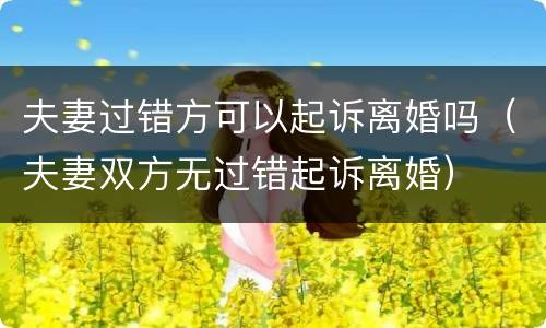 夫妻过错方可以起诉离婚吗（夫妻双方无过错起诉离婚）