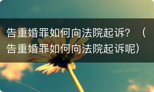告重婚罪如何向法院起诉？（告重婚罪如何向法院起诉呢）